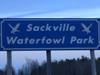Sackville Waterfowl 1